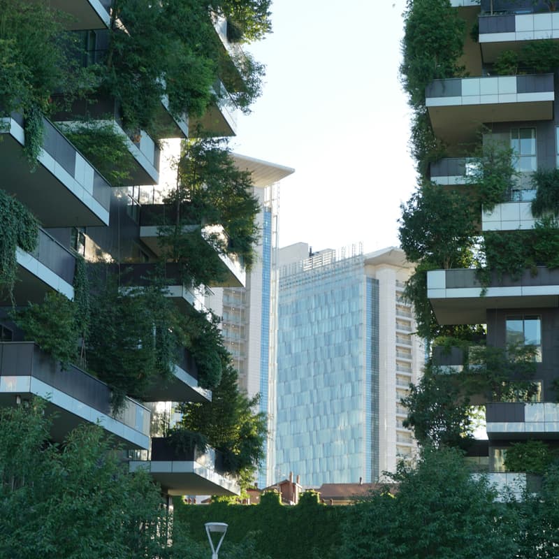 Cover Image for Building to Zero: making sustainability 'normal' in the built environment | Event #2.  Selling like hot cakes: Marketing + Media