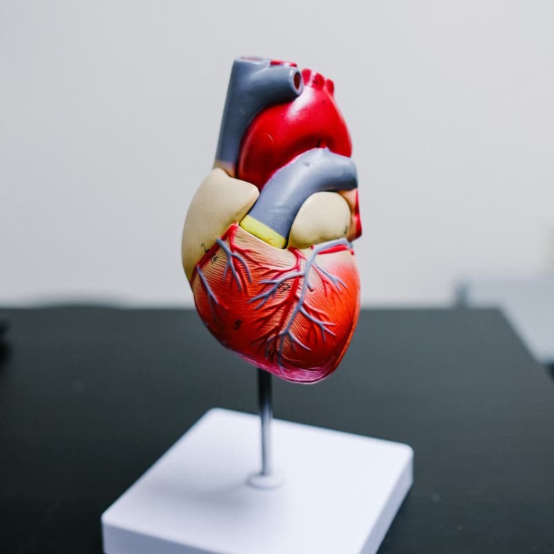 Cover Image for ./health tafel