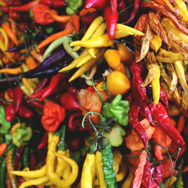 Cover Image for Cinco de Mayo Thank-You Dinner