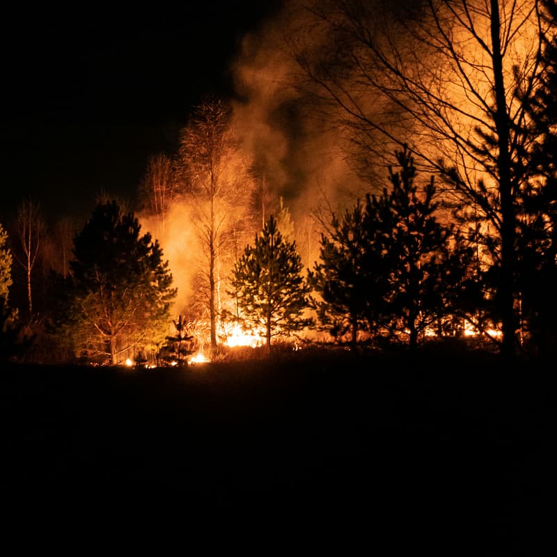 Cover Image for Wildfire Preparedness