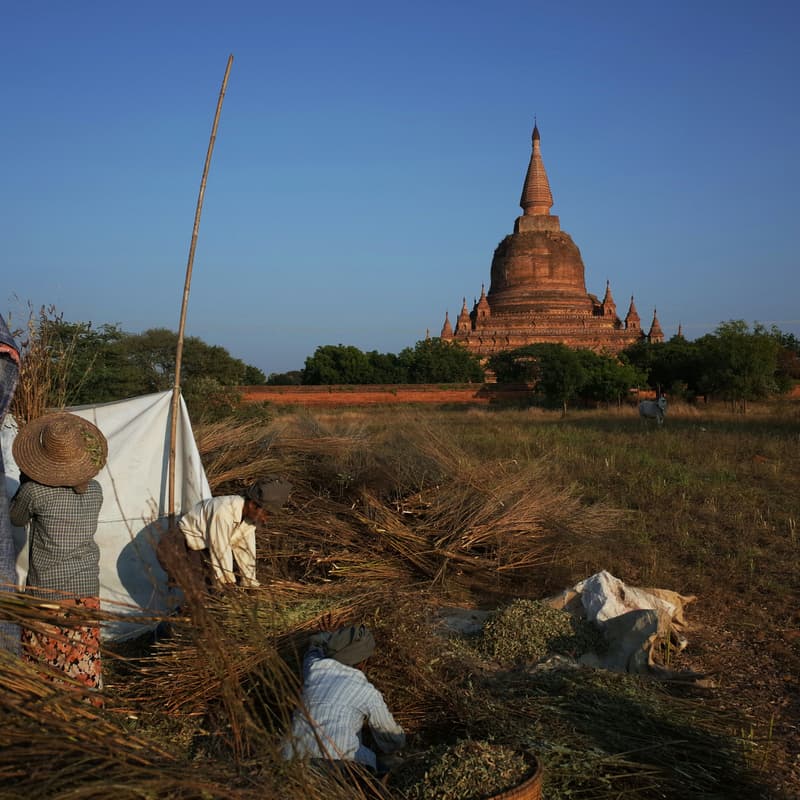 Cover Image for Women of Myanmar, Out of Myanmar: Women’s voices, diaspora activism and the future of Myanmar