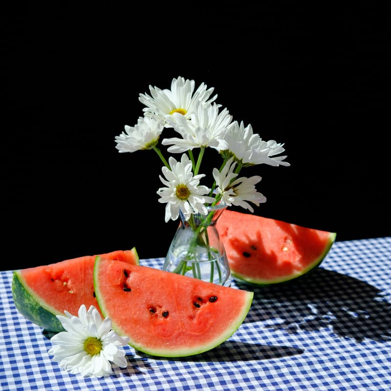 Cover Image for Imperfect Activism: A Workshop For Pro 🍉Brands & Content Creators 