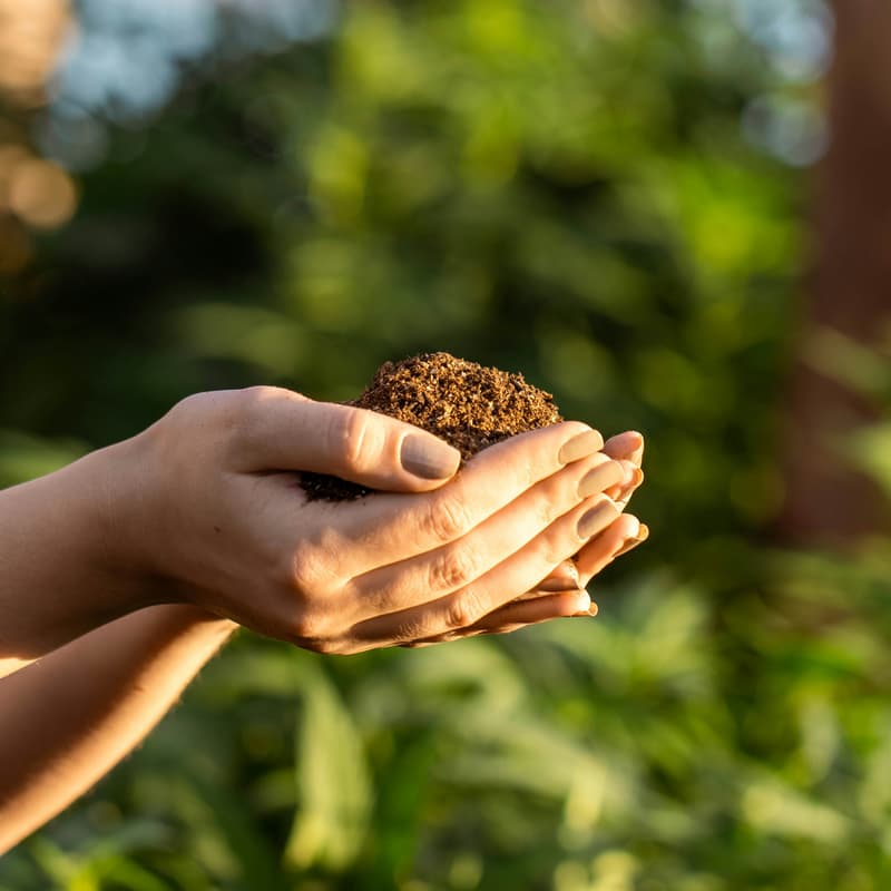 Cover Image for TREE PLANTING - International Women’s Day