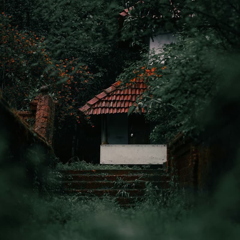 Cover Image for NEARVANA // ArQ Winter Residency