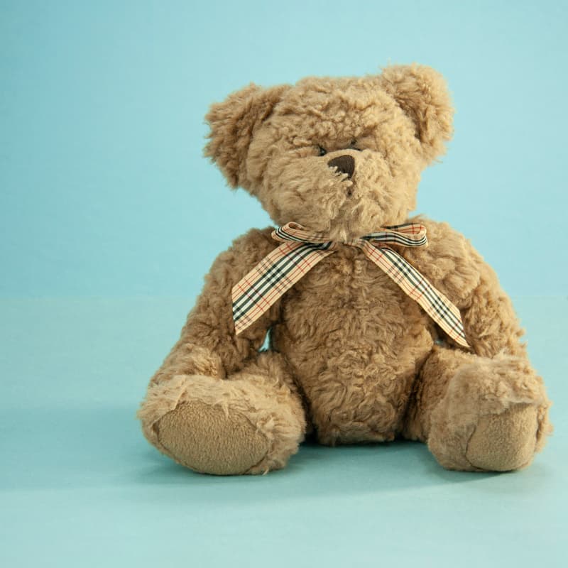 Cover Image for Teddy Bear Tea Party!