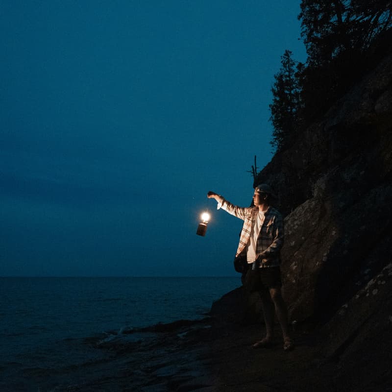 Cover Image for The Search Party #2