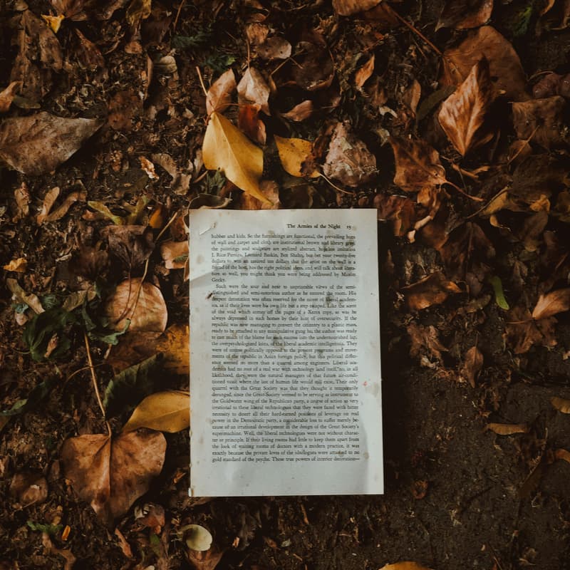 Cover Image for Fragments Expanded: a smut writing workshop for trans and queer writers of color