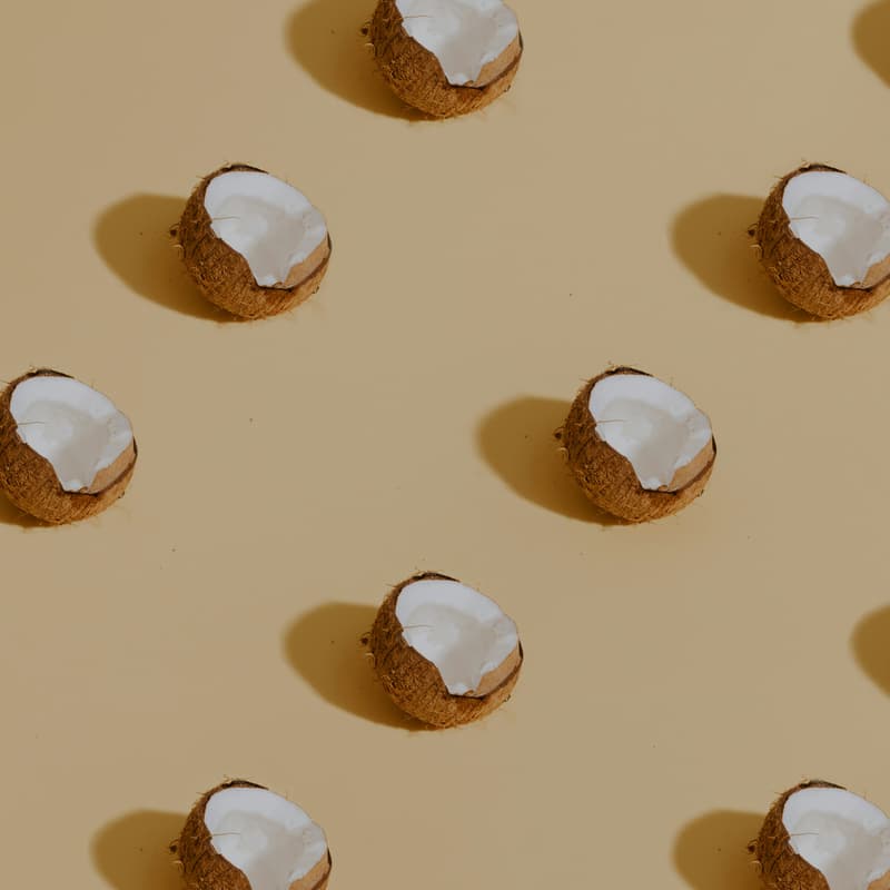 Cover Image for Reversed Coconuts Exhibit