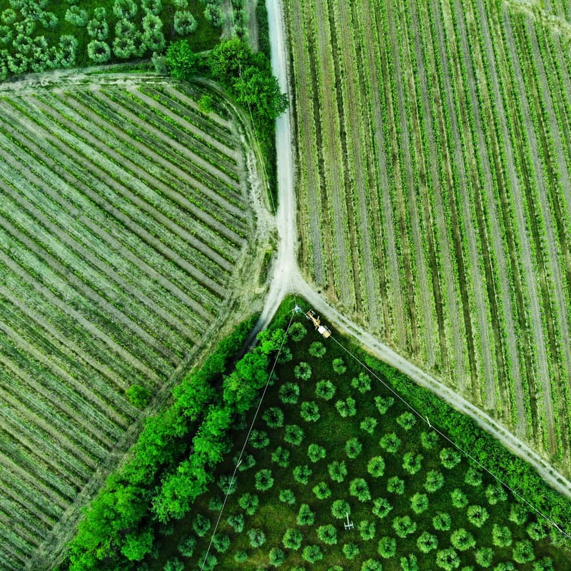 Cover Image for Regenerative Agriculture: An Impact Investor Discussion on Fractal Agriculture's FARM Fund