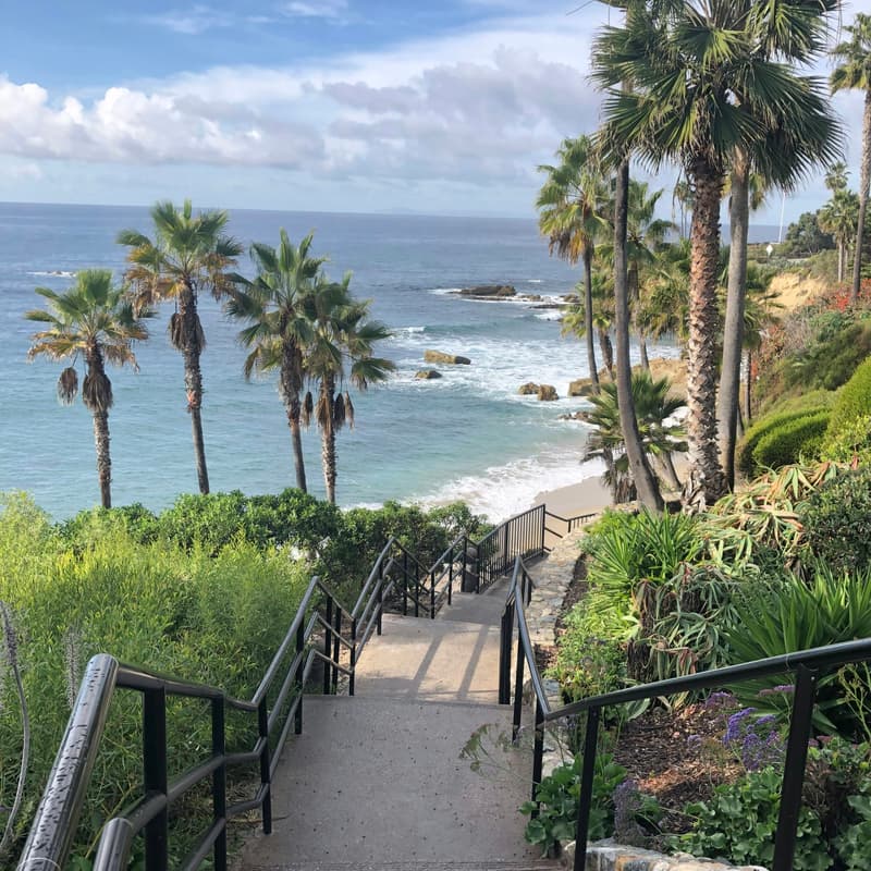 Cover Image for Wave-ing Goodbye @ Laguna Beach