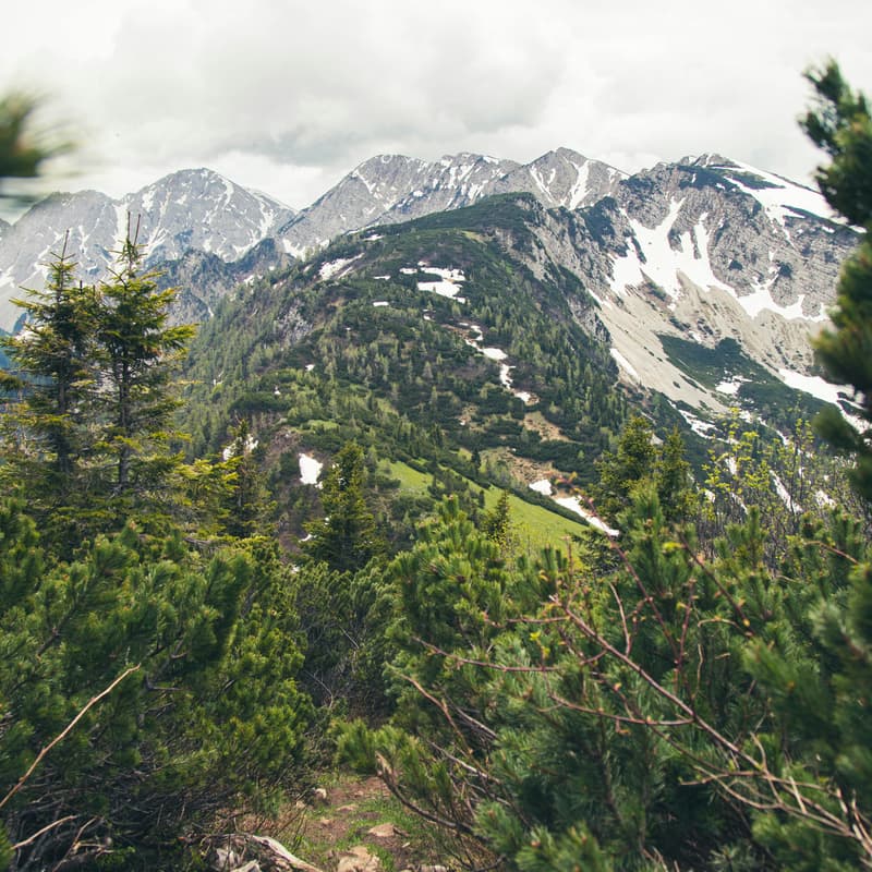 Cover Image for Group Hike