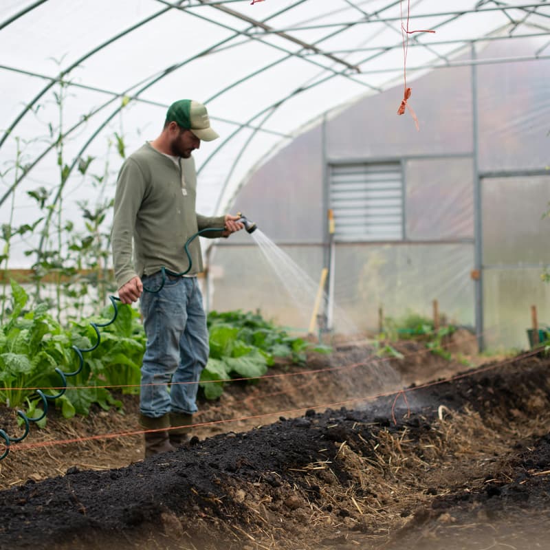 Cover Image for The ReWeave Podcast- Episode 7 | Beyond Fashion: The Link Between Farm, Food, Forest & Waste