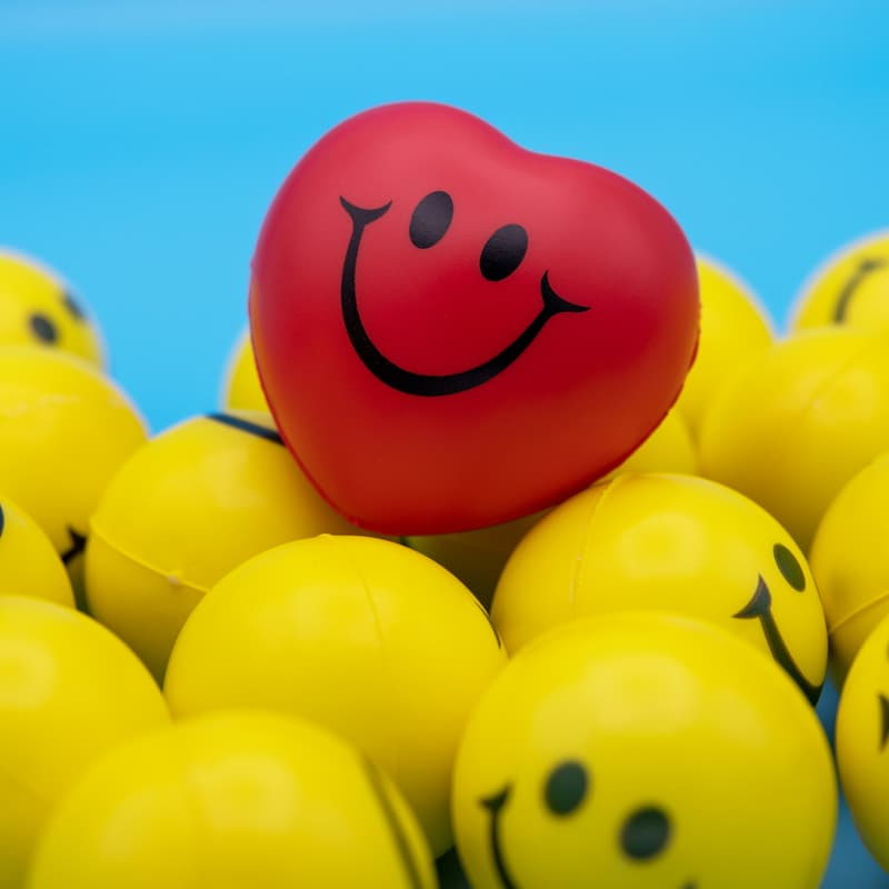 Cover Image for Emotional Intelligence in Leadership