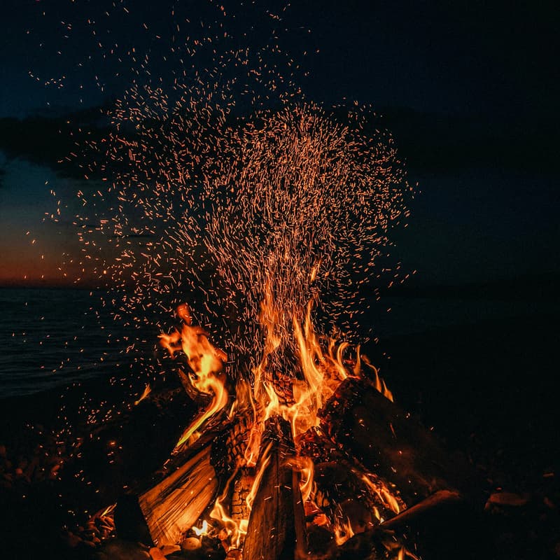 Cover Image for Familia Bonfire 🔥🙌