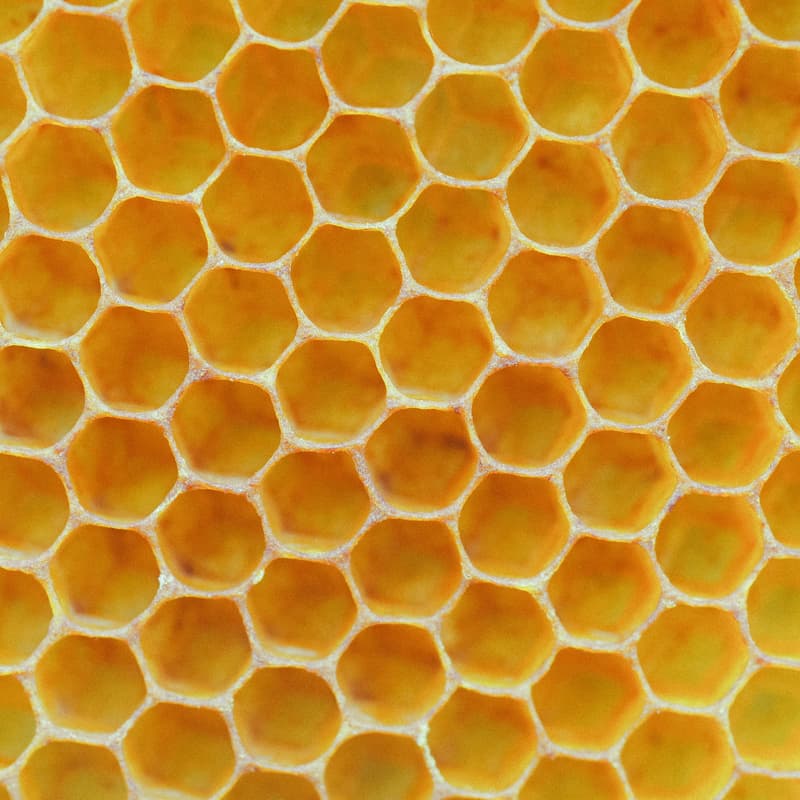 Cover Image for Nonprofit Hive ATX - locals networking event
