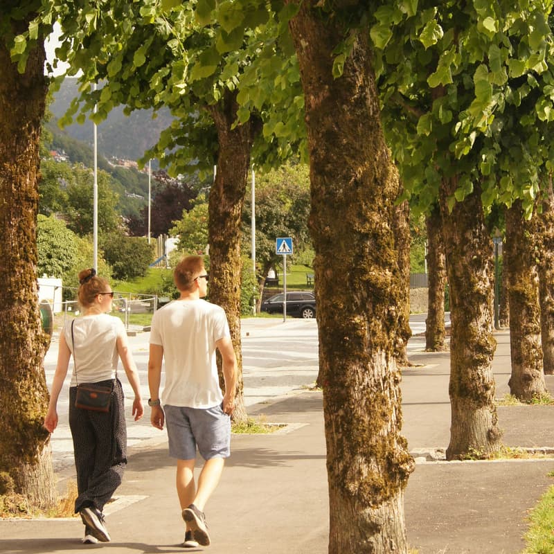 Cover Image for VentureWalks by 2nd Careers