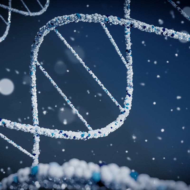 Cover Image for Career Catalyst | BioCatalyst Information Session