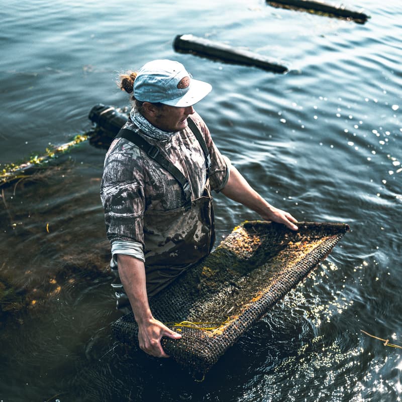 Cover Image for Volunteering Untapped NYC: Billion Oyster Project (June Event)