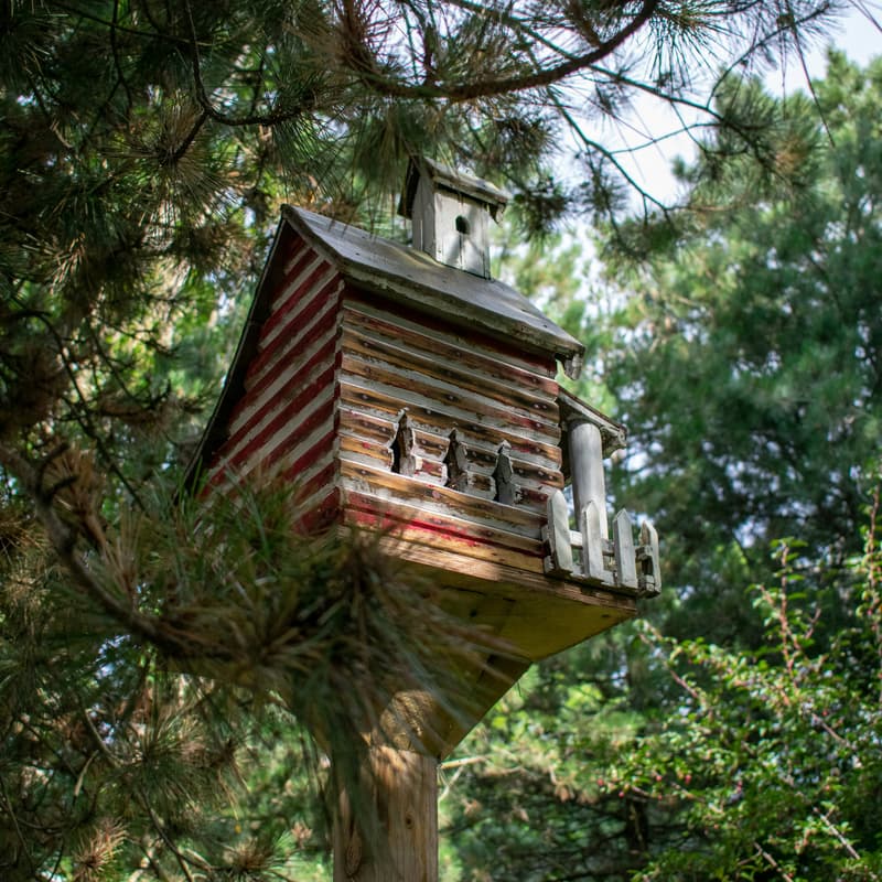 Cover Image for Open Birdhouse