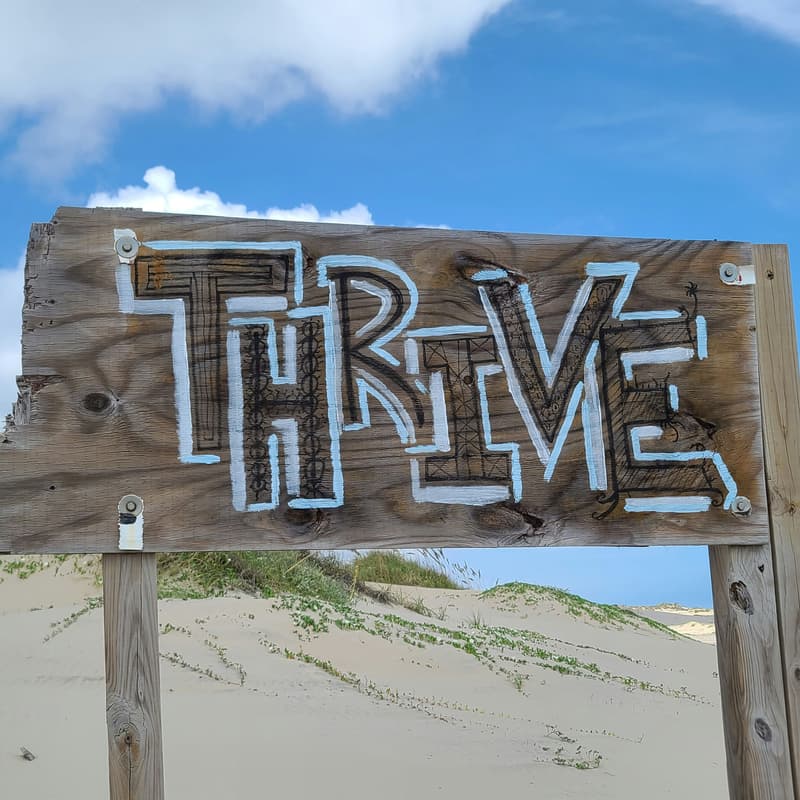 Cover Image for 3 Building Blocks to Thrive in Work and Life