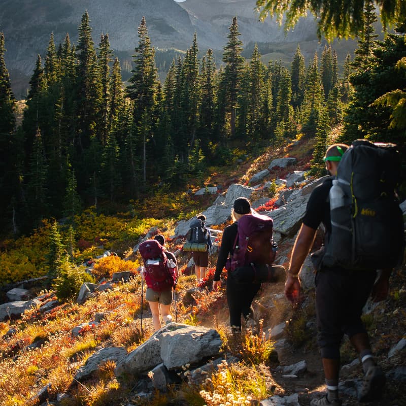 Cover Image for Søndags Tur (Sunday Hike): Nature, new friends, & mindfulness