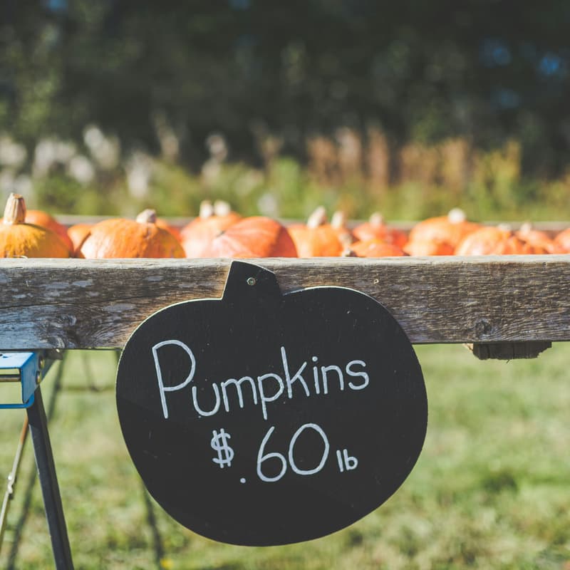 Cover Image for Welcome to our Pumpkin Patch Sales Meeting