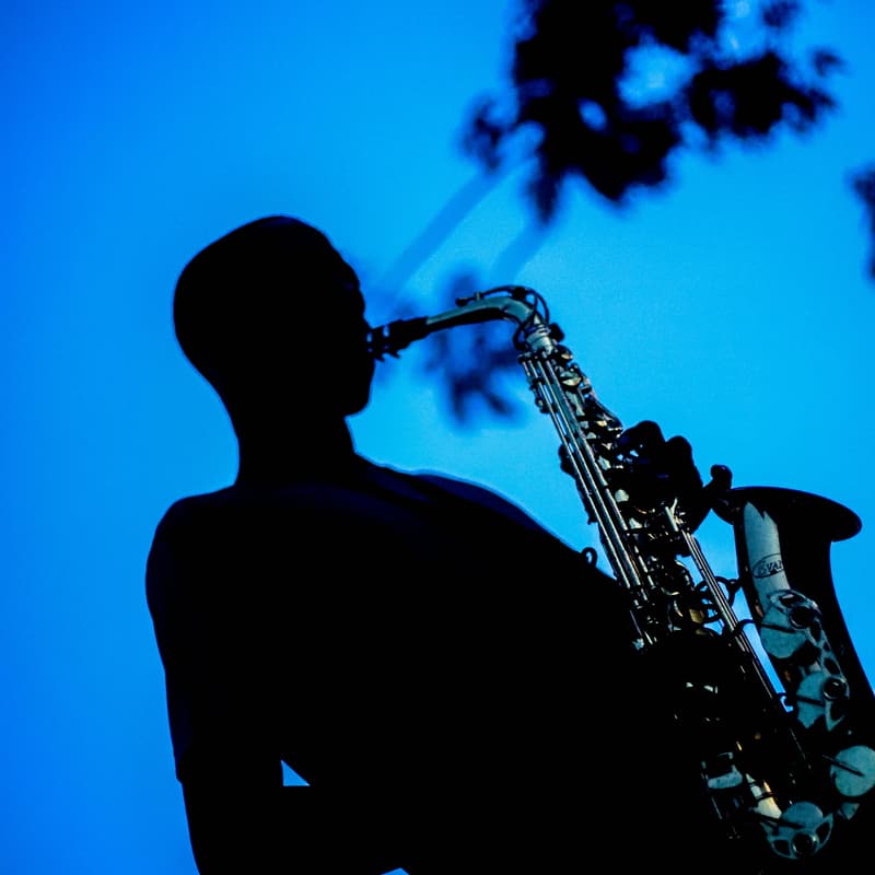 Cover Image for Jazz Night At Dallas Museum Of art