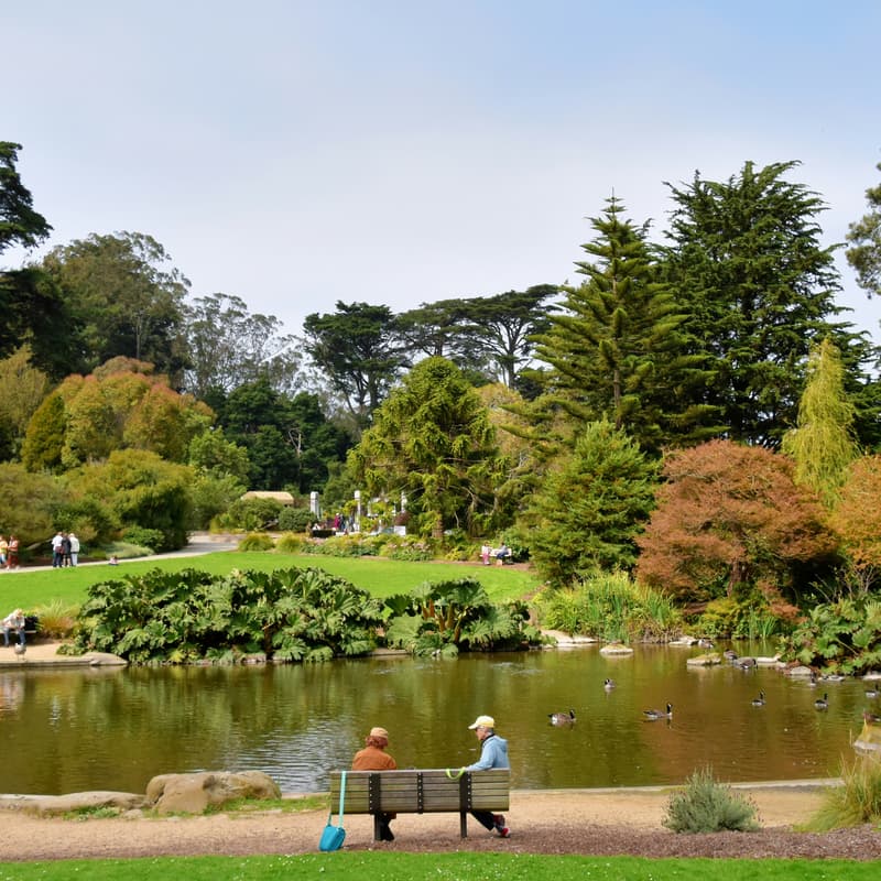 Cover Image for Habitat Restoration at Golden Gate Park
