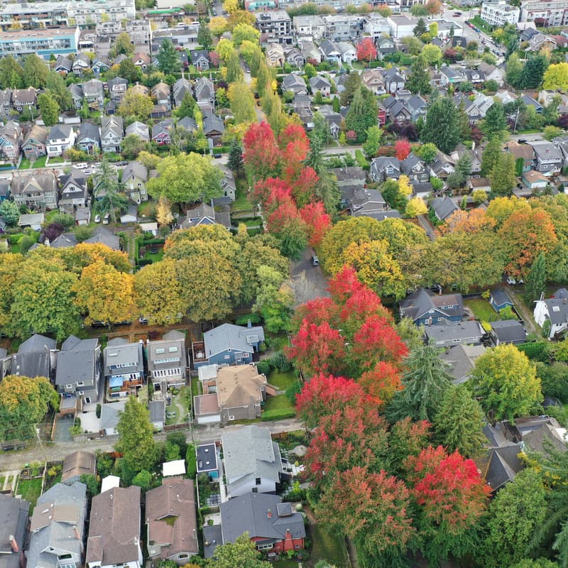 Cover Image for More Trees, Please! workshop