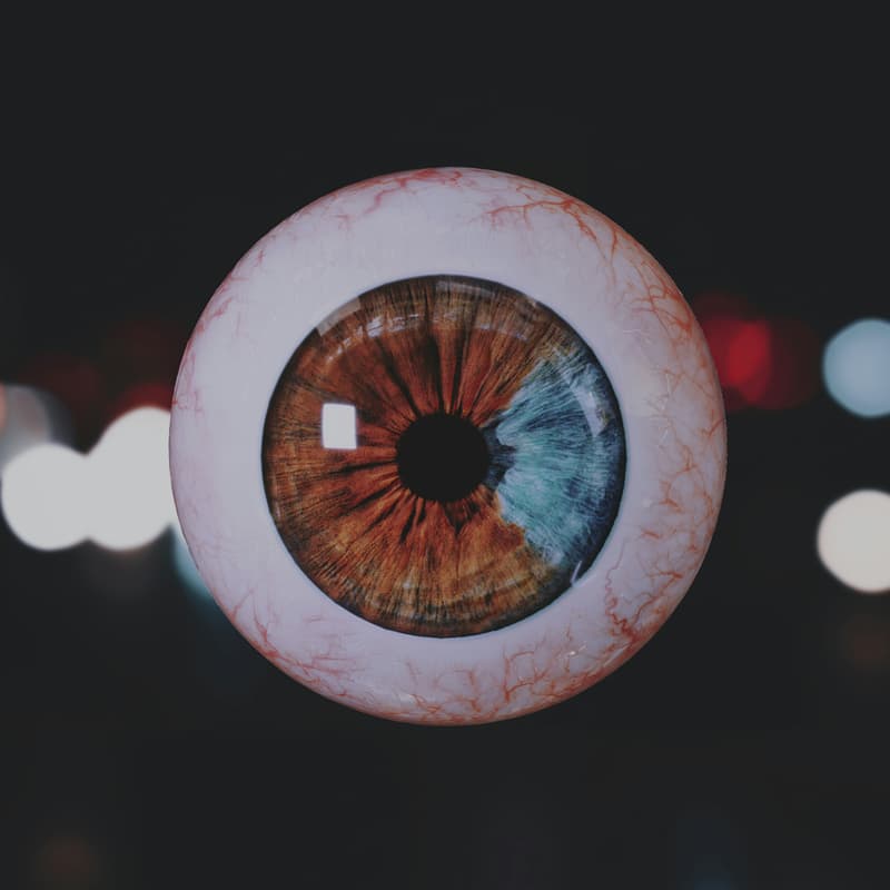 Cover Image for Robotic Eye Workshop