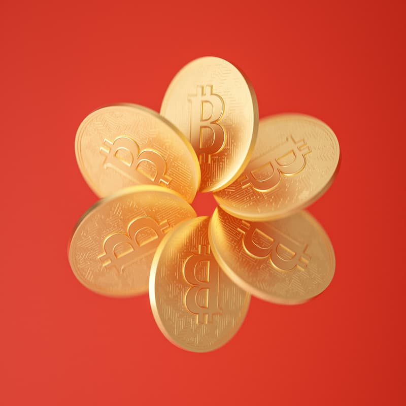 Cover Image for Accepting Bitcoin payments for your Business