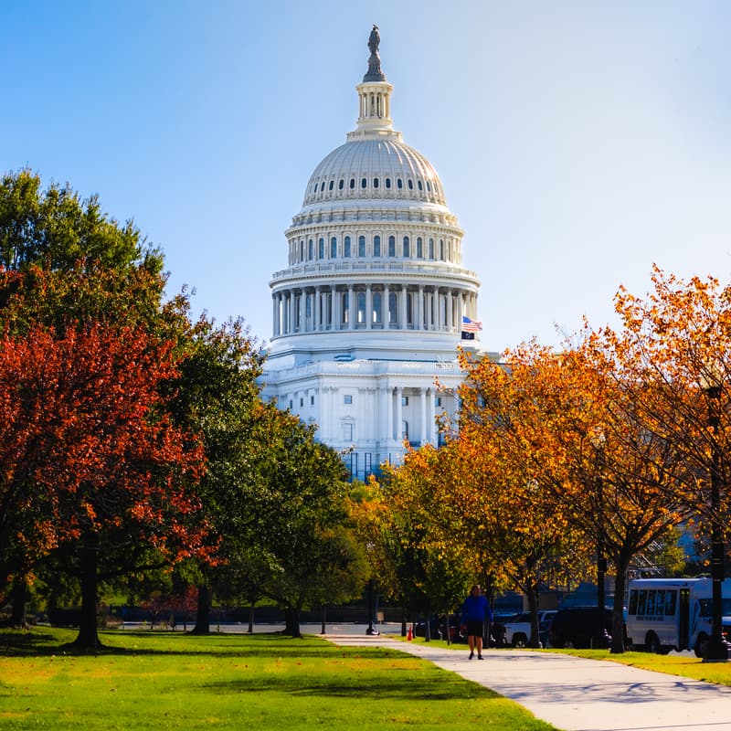 Cover Image for The Washington IP Circle