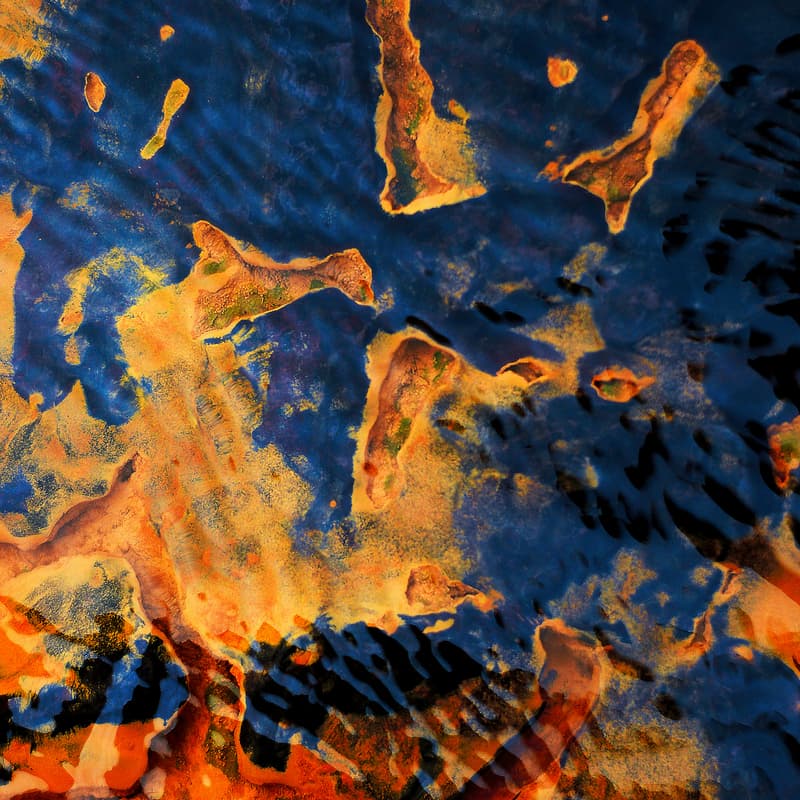 Cover Image for Human Nature: An Immersive Elemental Experience in Climate, Art, and Emotion