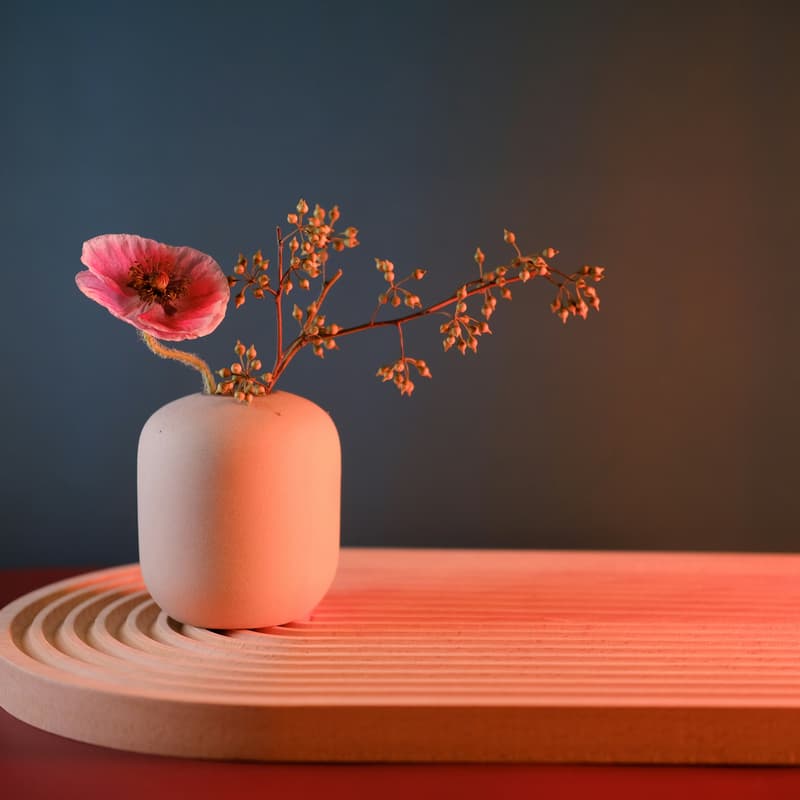 Cover Image for Cha & Hana: The Bloom Ritual