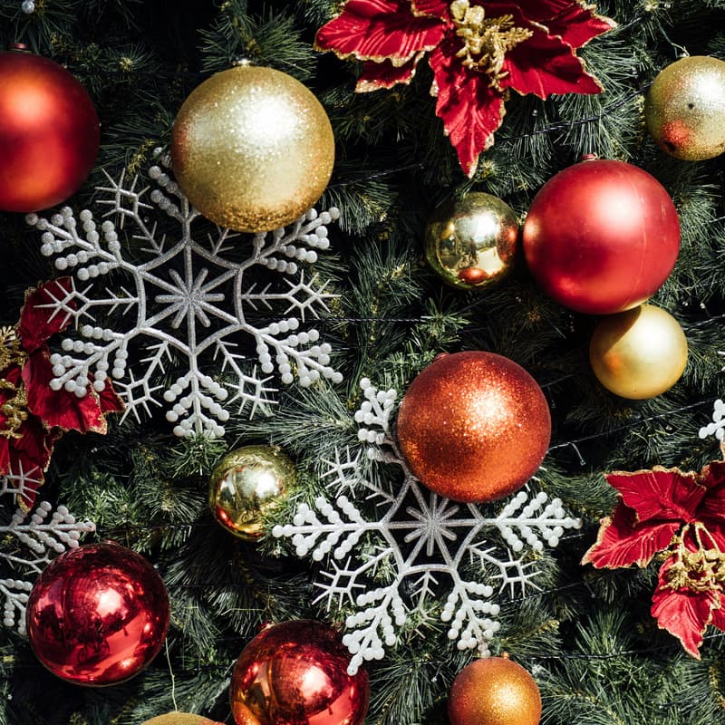Cover Image for December Branch Festive Soiree
