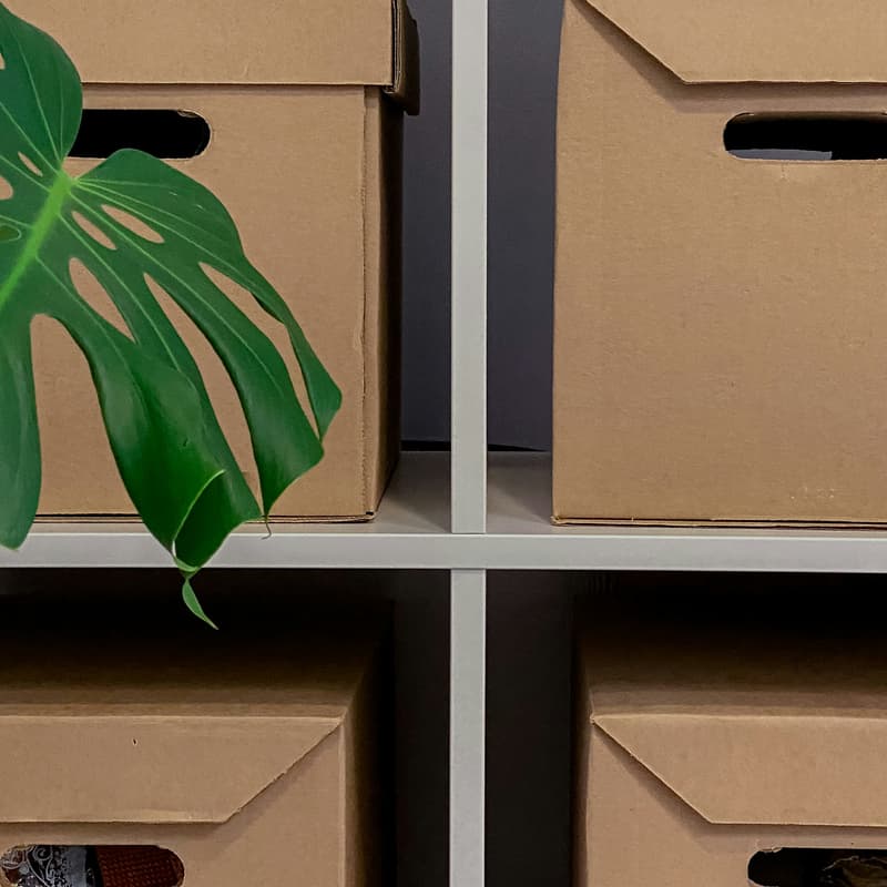 Cover Image for Volunteer: Organize Res Life Donation Room at LC