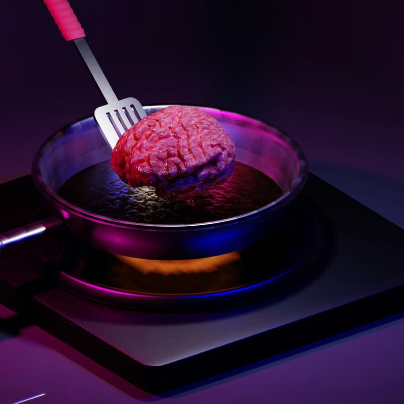 Cover Image for Decoding the Brain