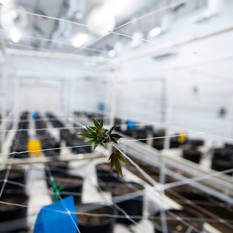 Cover Image for Funding Opportunities for Circular Economy & Clean-Tech Startups
