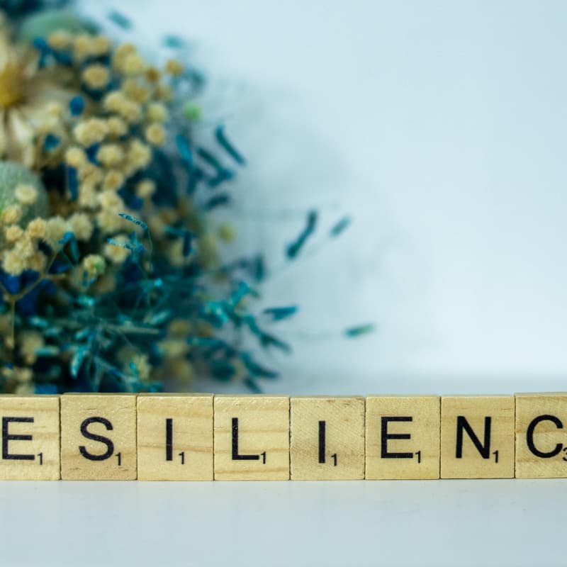 Cover Image for Climate Courage x Imagination Activism: Strengthening Resilience with Creativity