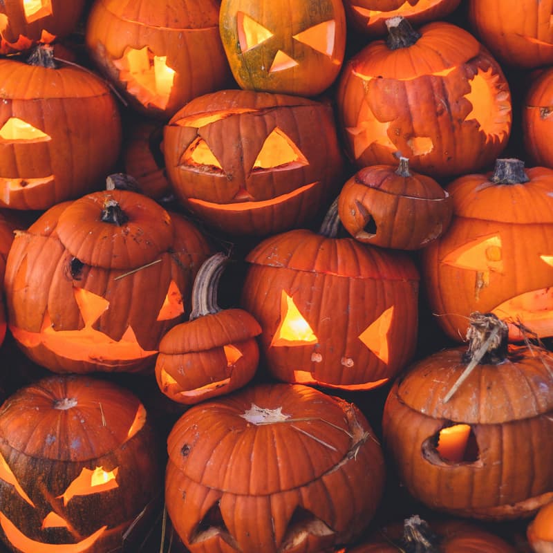 Cover Image for October Monthly Meetup