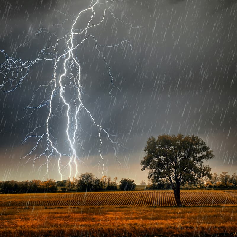 Cover Image for Lightning Talks