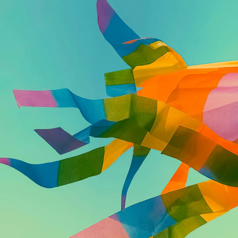 Cover Image for Project Day: Float