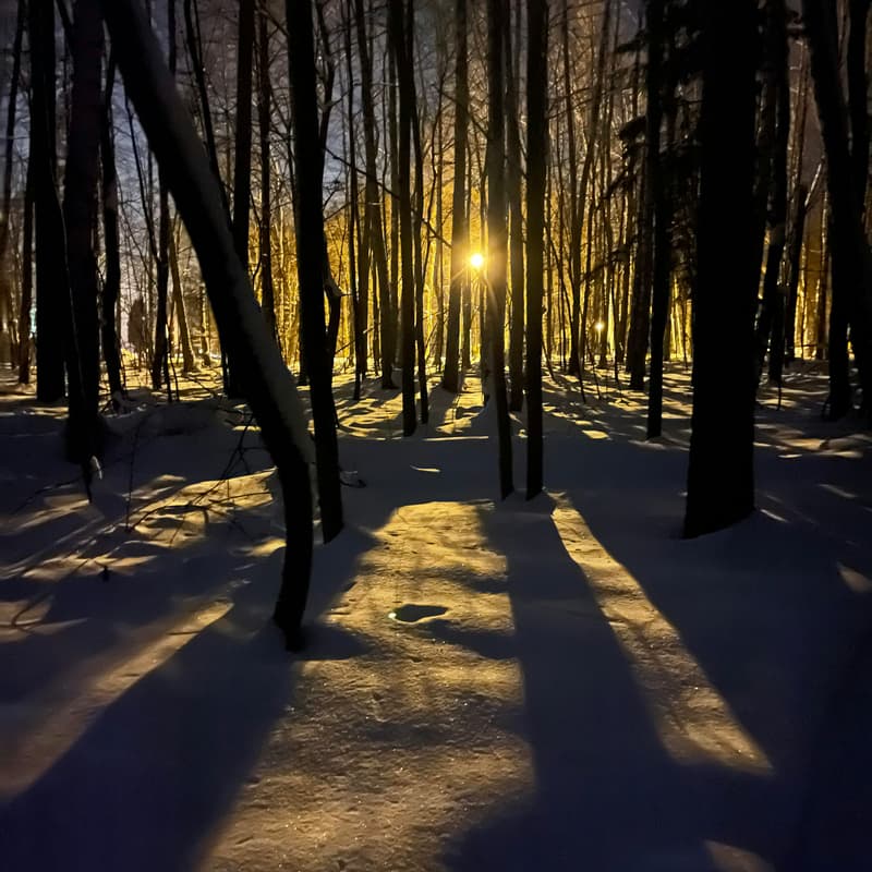 Cover Image for Winter Solstice Wandering
