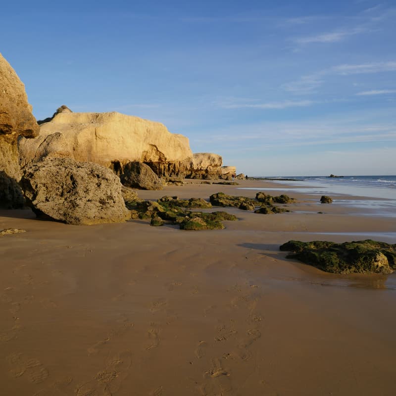Cover Image for Beach & Books