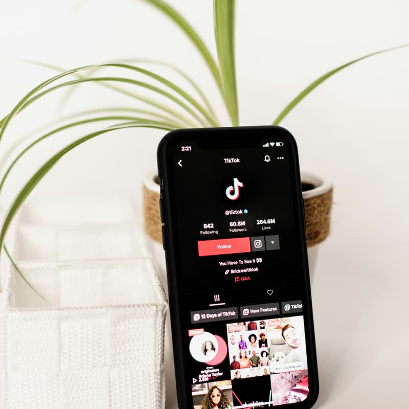 Cover Image for TikTok to Top-of-Mind: How to Get Free Leads & Go Viral with AI