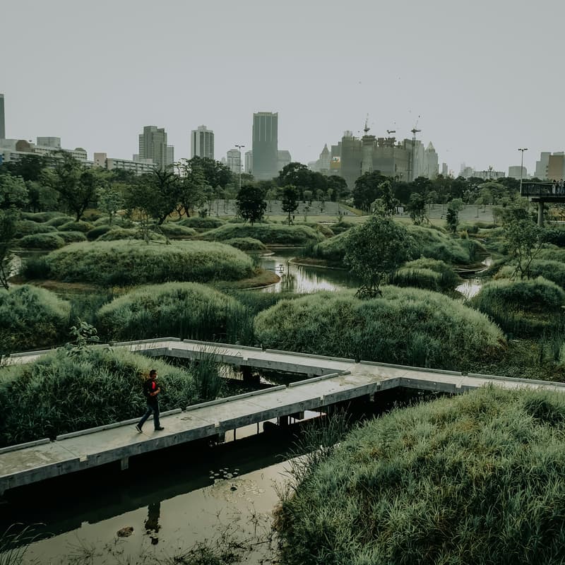 Cover Image for Ciudades y Comunidades Hacia el Foro Urbano Mundial 2028