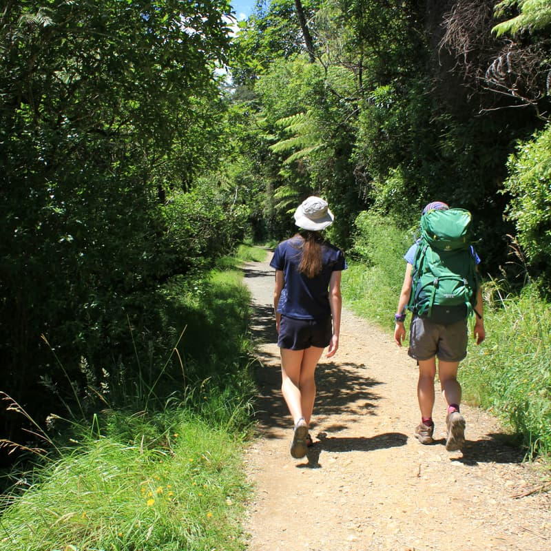Cover Image for Group hike at Memorial Park - Saturday July 25