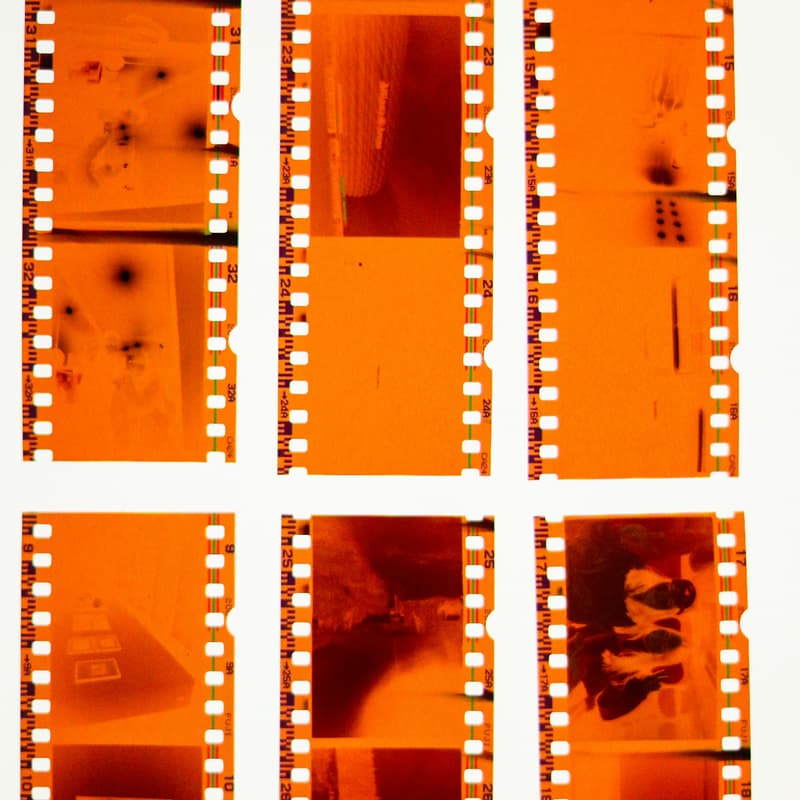Cover Image for Bronx Film Week Day 2 | Women of The Bronx | Film Screening