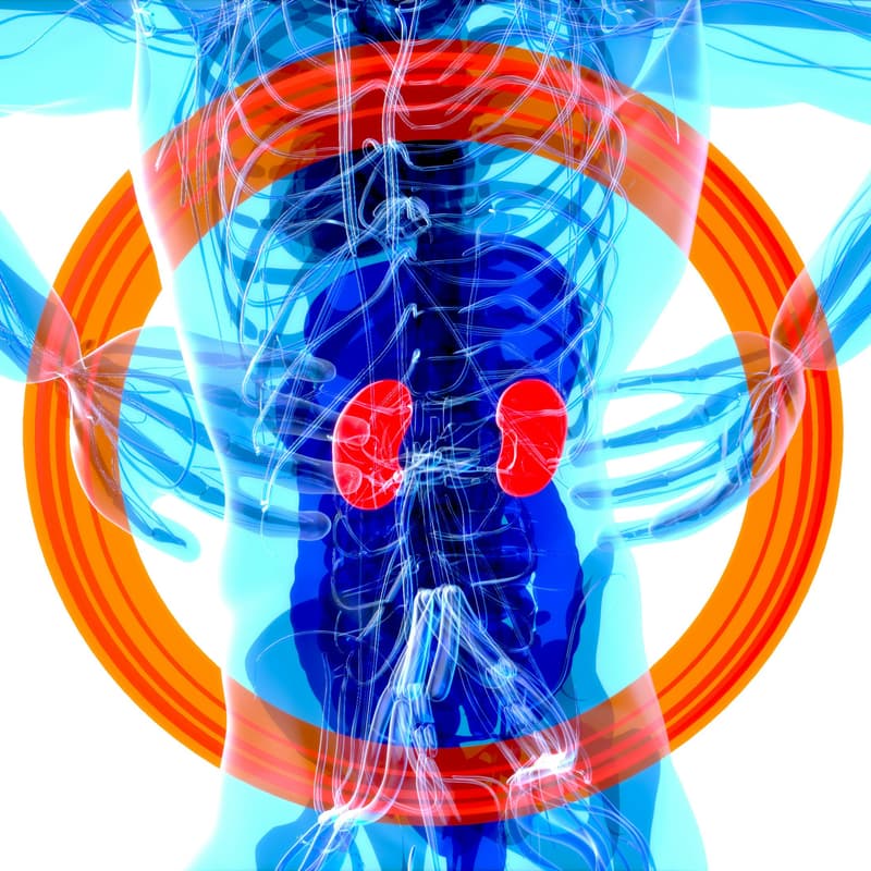 Cover Image for Full-Stack Medical App for NS