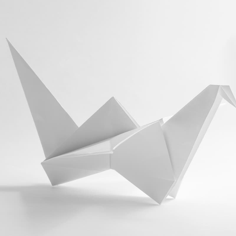 Cover Image for Origami/Paper Folding